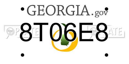 8T06E8 Georgia License Plate