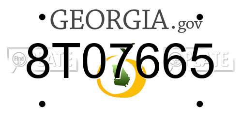 8T07665 Georgia License Plate