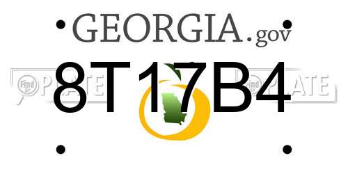 8T17B4 Georgia License Plate