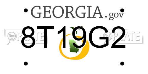 8T19G2 Georgia License Plate