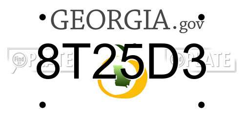 8T25D3 Georgia License Plate