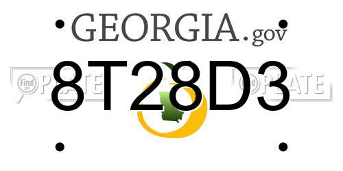 8T28D3 Georgia License Plate