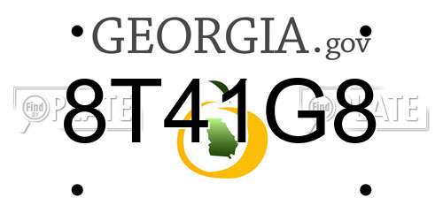 8T41G8 Georgia License Plate