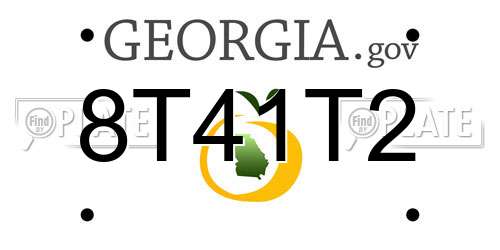 8T41T2 Georgia License Plate
