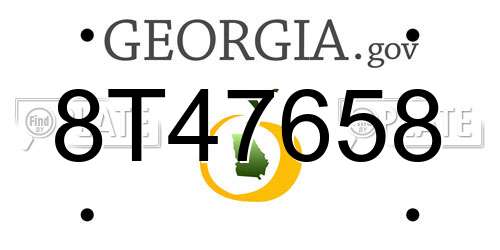 8T47658 Georgia License Plate