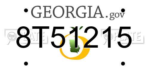 8T51215 Georgia License Plate