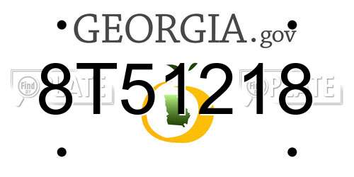 8T51218 Georgia License Plate