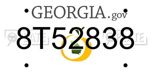 8T52838 Georgia License Plate