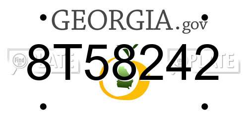 8T58242 Georgia License Plate