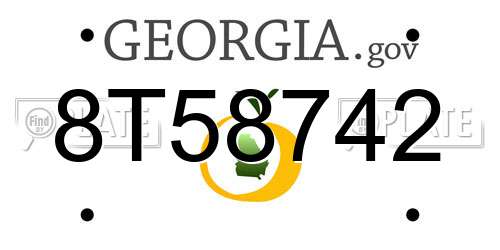 8T58742 Georgia License Plate