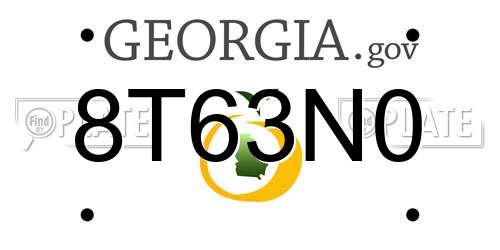 8T63N0 Georgia License Plate