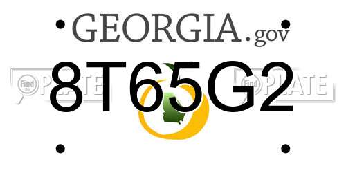 8T65G2 Georgia License Plate