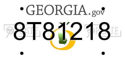 8T81218 Georgia License Plate