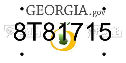 8T81715 Georgia License Plate