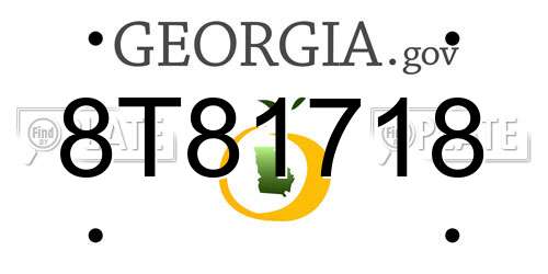 8T81718 Georgia License Plate