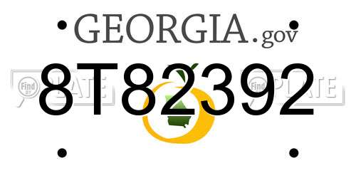 8T82392 Georgia License Plate