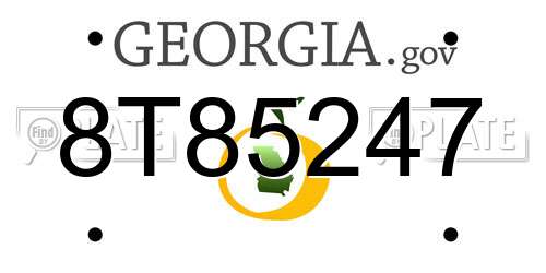 8T85247 Georgia License Plate