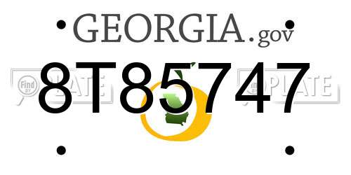 8T85747 Georgia License Plate