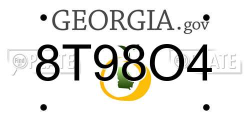 8T98O4 Georgia License Plate