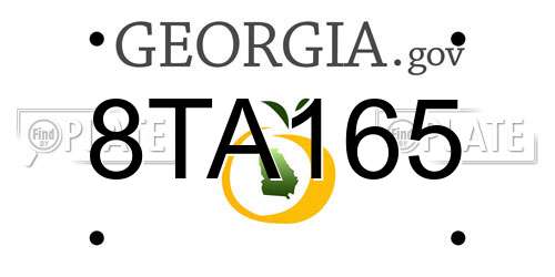 8TA165 Georgia License Plate