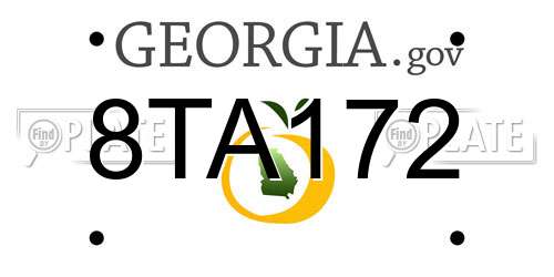 8TA172 Georgia License Plate