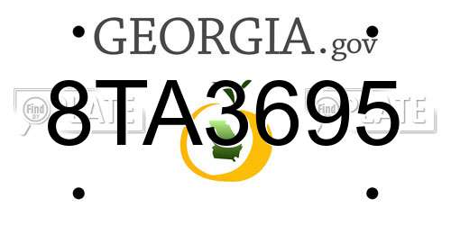 8TA3695 Georgia License Plate