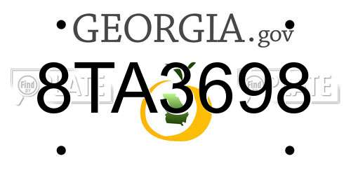 8TA3698 Georgia License Plate