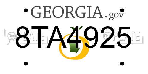 8TA4925 Georgia License Plate