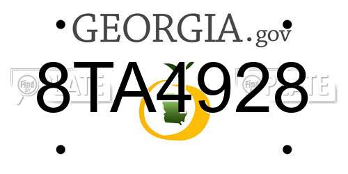 8TA4928 Georgia License Plate