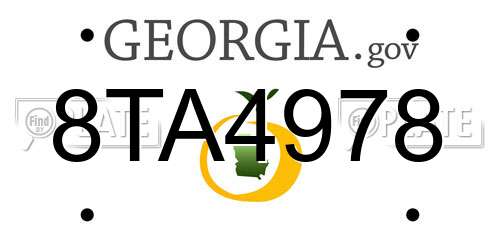 8TA4978 Georgia License Plate
