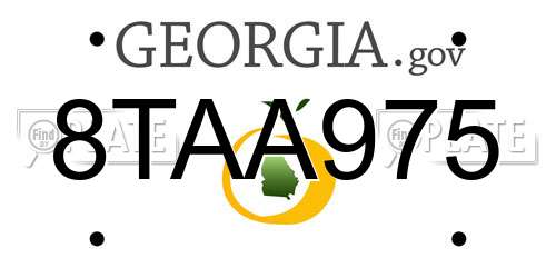 8TAA975 Georgia License Plate