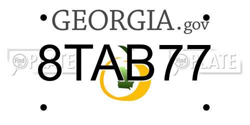 8TAB77 Georgia License Plate