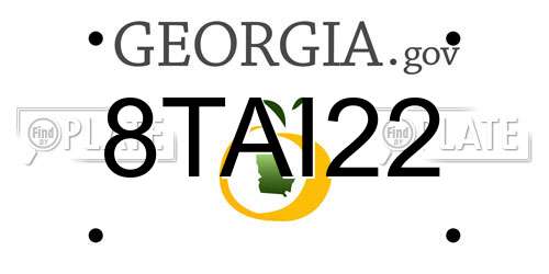 8TAI22 Georgia License Plate