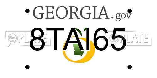8TAI65 Georgia License Plate