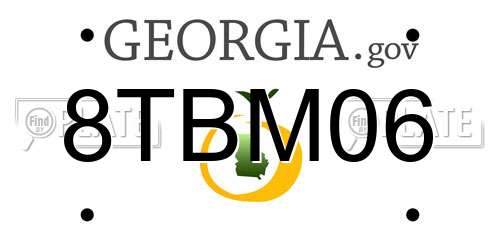 8TBM06 Georgia License Plate
