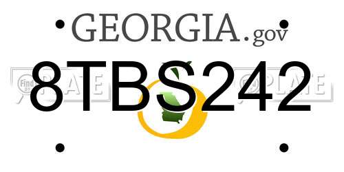 8TBS242 Georgia License Plate