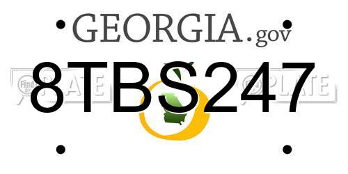8TBS247 Georgia License Plate