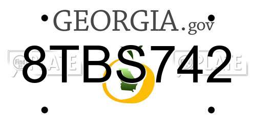 8TBS742 Georgia License Plate