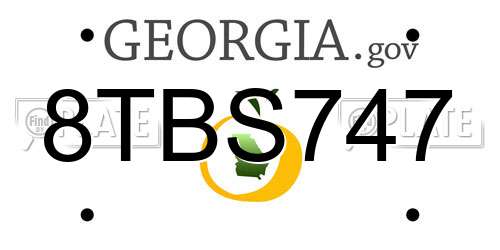 8TBS747 Georgia License Plate