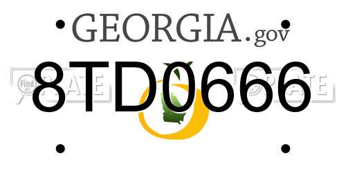 8TD0666 Georgia License Plate