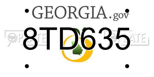 8TD635 Georgia License Plate