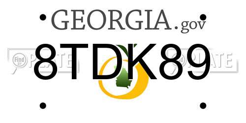8TDK89 Georgia License Plate