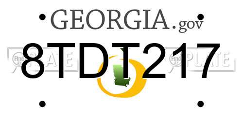 8TDT217 Georgia License Plate