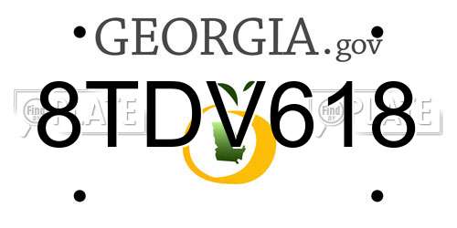 8TDV618 Georgia License Plate