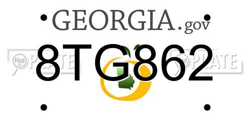 8TG862 Georgia License Plate