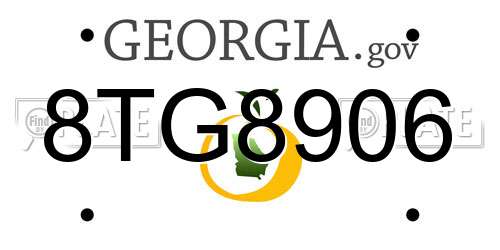 8TG8906 Georgia License Plate