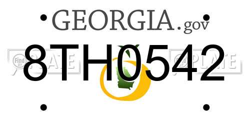 8TH0542 Georgia License Plate