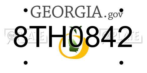 8TH0842 Georgia License Plate