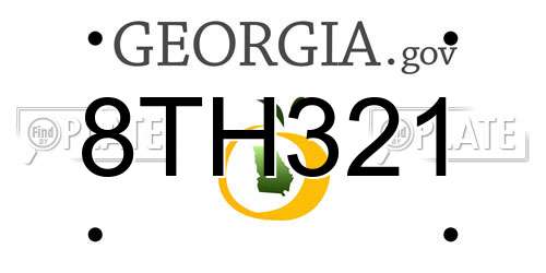 8TH321 Georgia License Plate