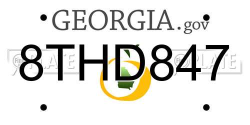 8THD847 Georgia License Plate